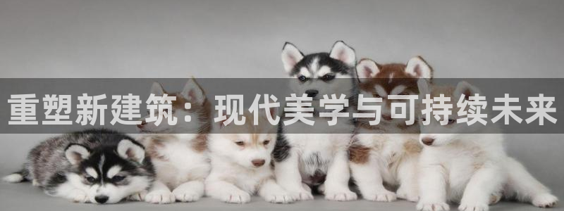 香港和记3官网
