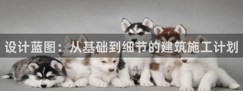 和记体育官网