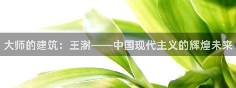 和记国际平台官网