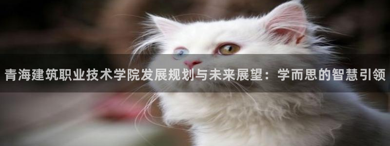 hgc和记官网
