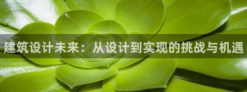 和记娱安全h88285官网