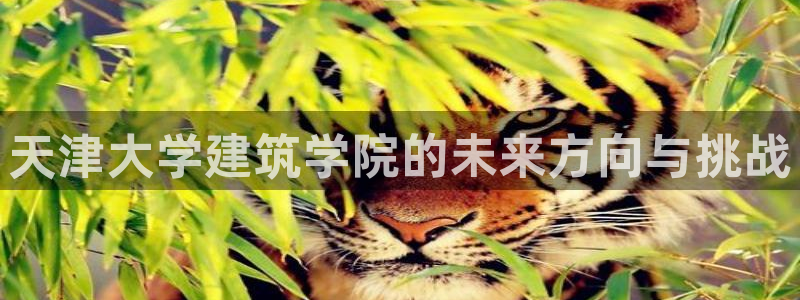 和记怡情博物官网