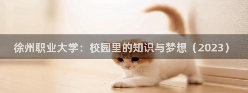 和记游戏官网：徐州职业大学：校园里的知识与梦想（2023）