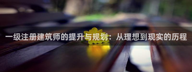 下载和记官网：一级注册建筑师的提升与规划：从理想到现实的历程