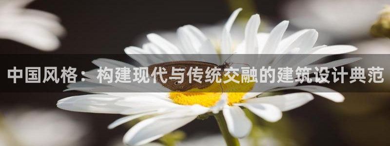 和木记手帕官网