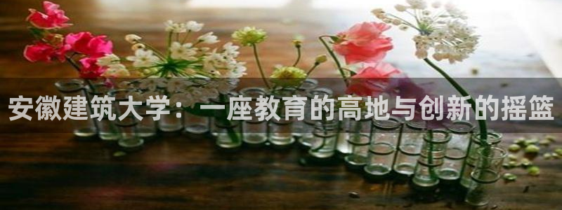 和记官网亚洲唯一官网