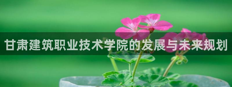 和记安徽快3官网开户