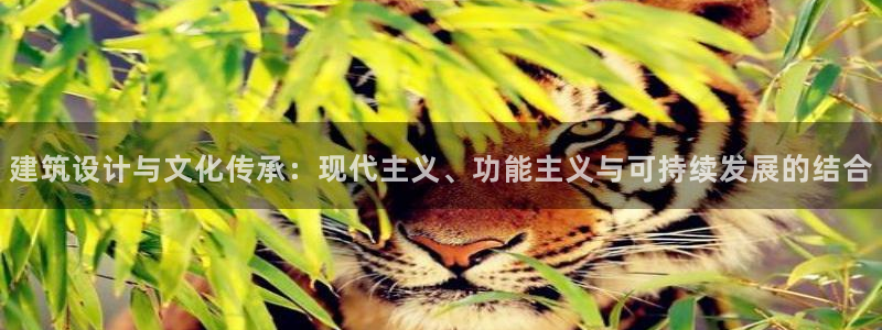 和记官网手机版