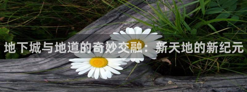 和记官网手机新版app下载
