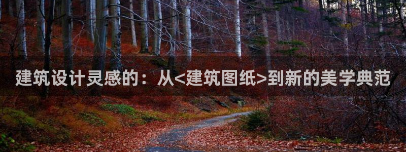 和记黄埔官网教育：建筑设计灵感的：从<建筑图纸>到新的美学典范