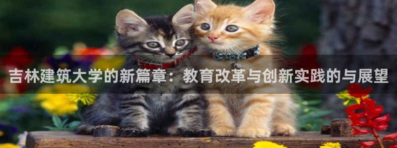 和记娱乐h8官网