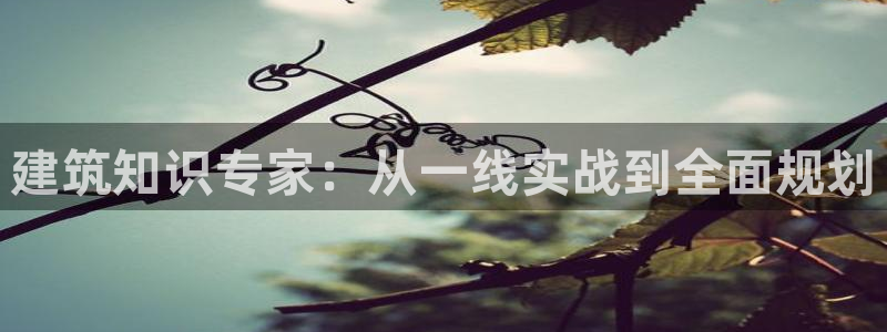长江和记官网