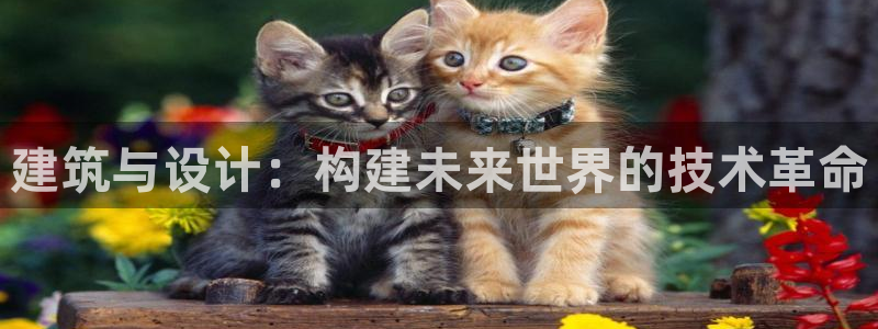 上海和记官网