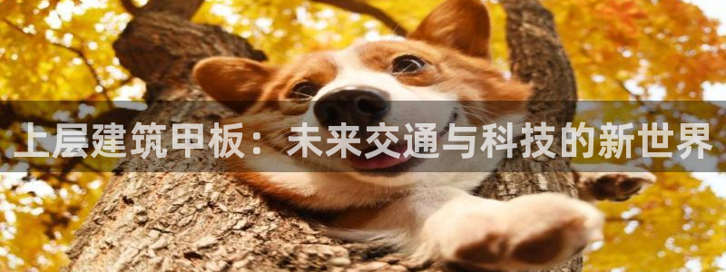 成都和记黄埔官网