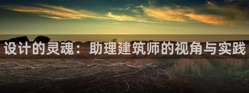 和记官网开户 银博网
