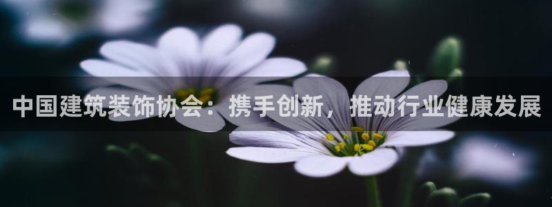 和记娱乐旗舰官网