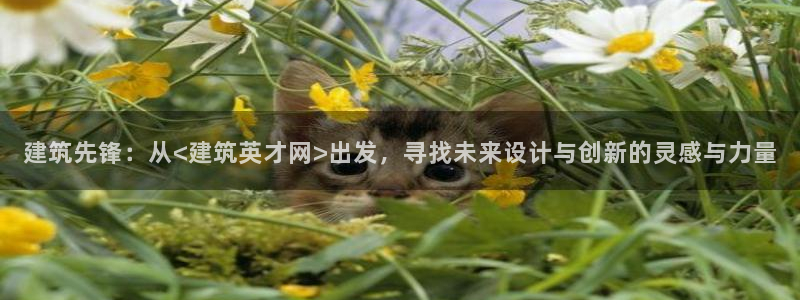 和记娱乐app官网：建筑先锋：从<建筑英才网>出发，寻找未来设计与创新的灵感与力量