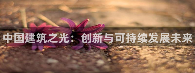 和记体育官网