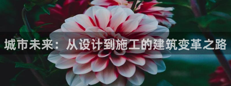和记娱乐app官网