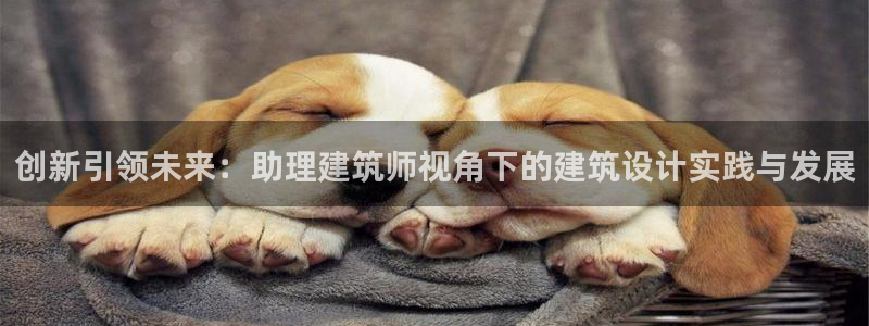 和记备用网官网开户