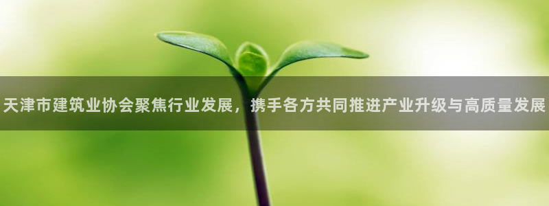和记电讯 官网