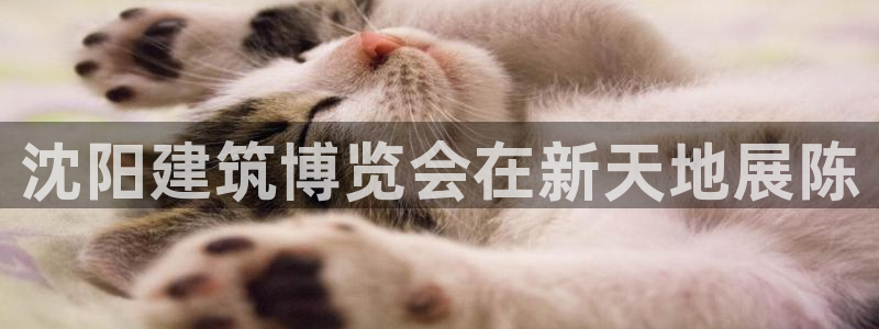 和记国际有限公司官网