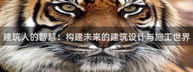 和记怡情视频在线官网