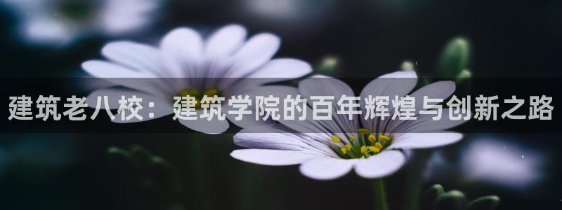 和记娱乐怡情官网