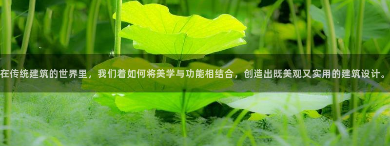 和兴记官网