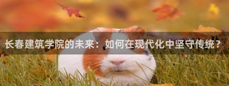 和记娱哪个位置h88285官网
