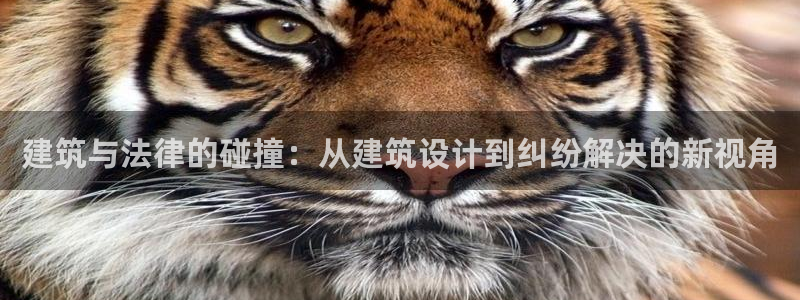 和记国际官网官网