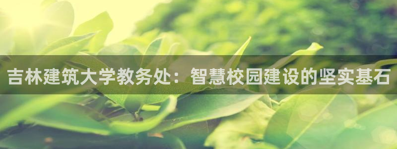 和记怡情官网入口