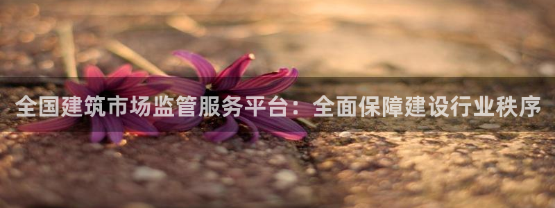 和记app官方官网登录