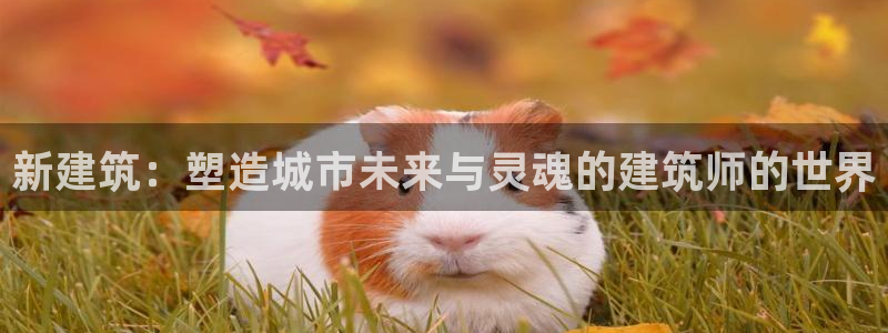 和记怡情官网电话