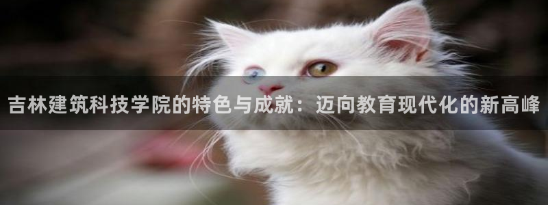 和记电讯three官网